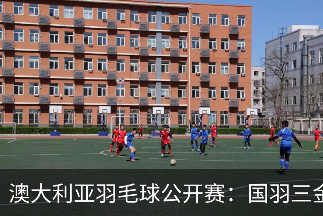 澳大利亚羽毛球公开赛：国羽三金两银收官