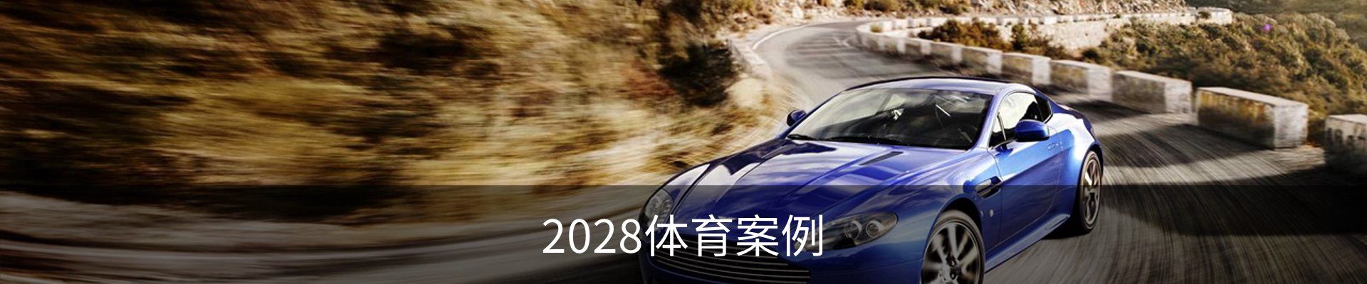 2028体育案例